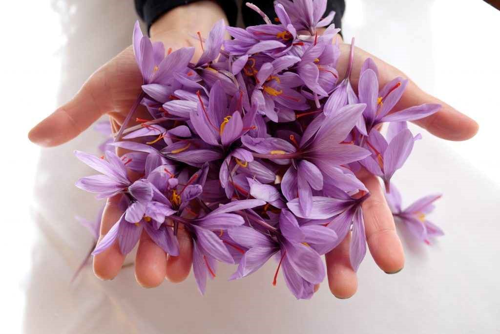 گلبرگ زعفران در آشپزی