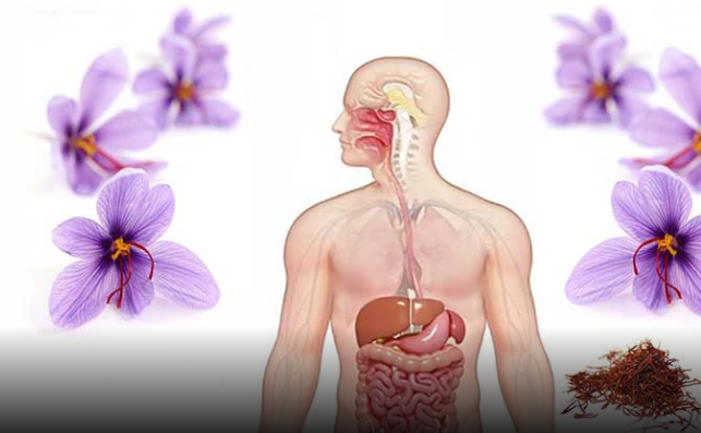 اثرات زعفران